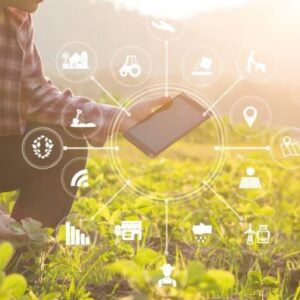 Peran Teknologi Digital dalam Pertanian