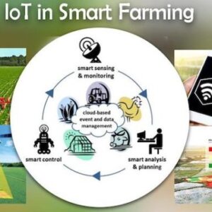 Peran Teknologi Digital dalam Pertanian