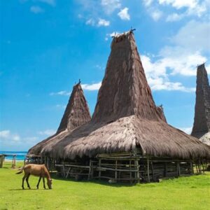 mengunjungi kampung retenggaro sumba tempat ikonik di pulau sumba