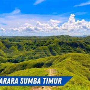 5 pesona bukit tanarara di sumba timur