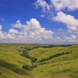 pesona bukit mauliru di sumba timur