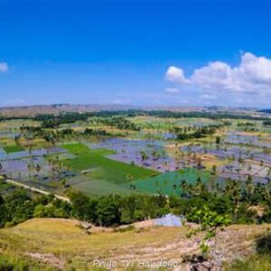 bukit persaudaraan sumba